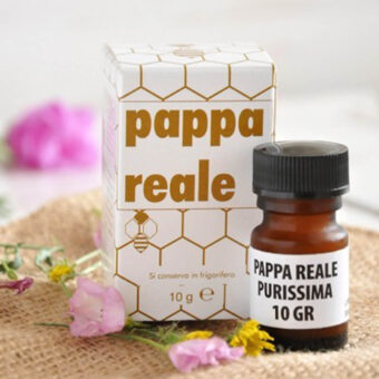 Pappa reale