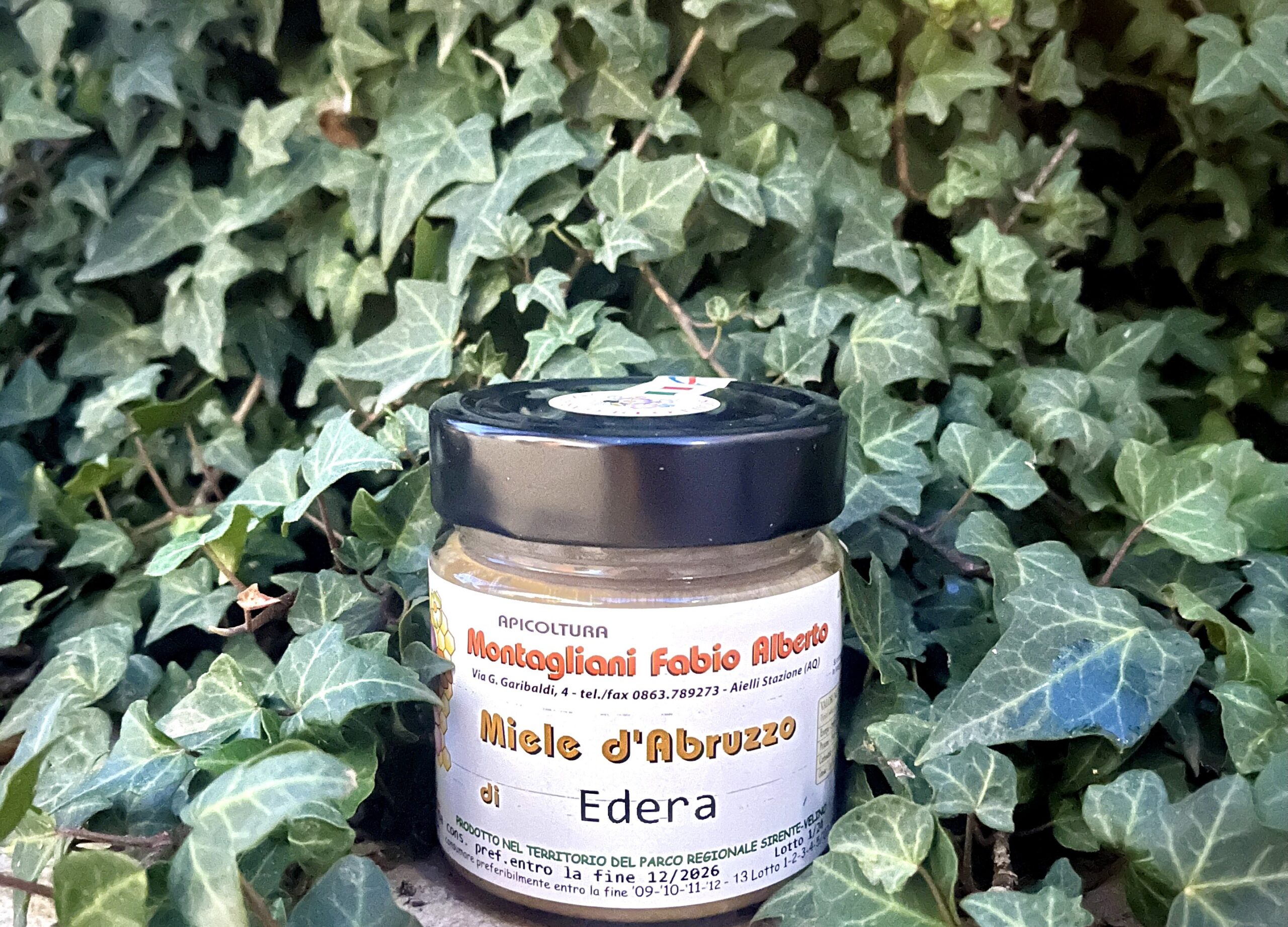 Miele di edera in barattolo, nello sfondo la pianta dell'edera